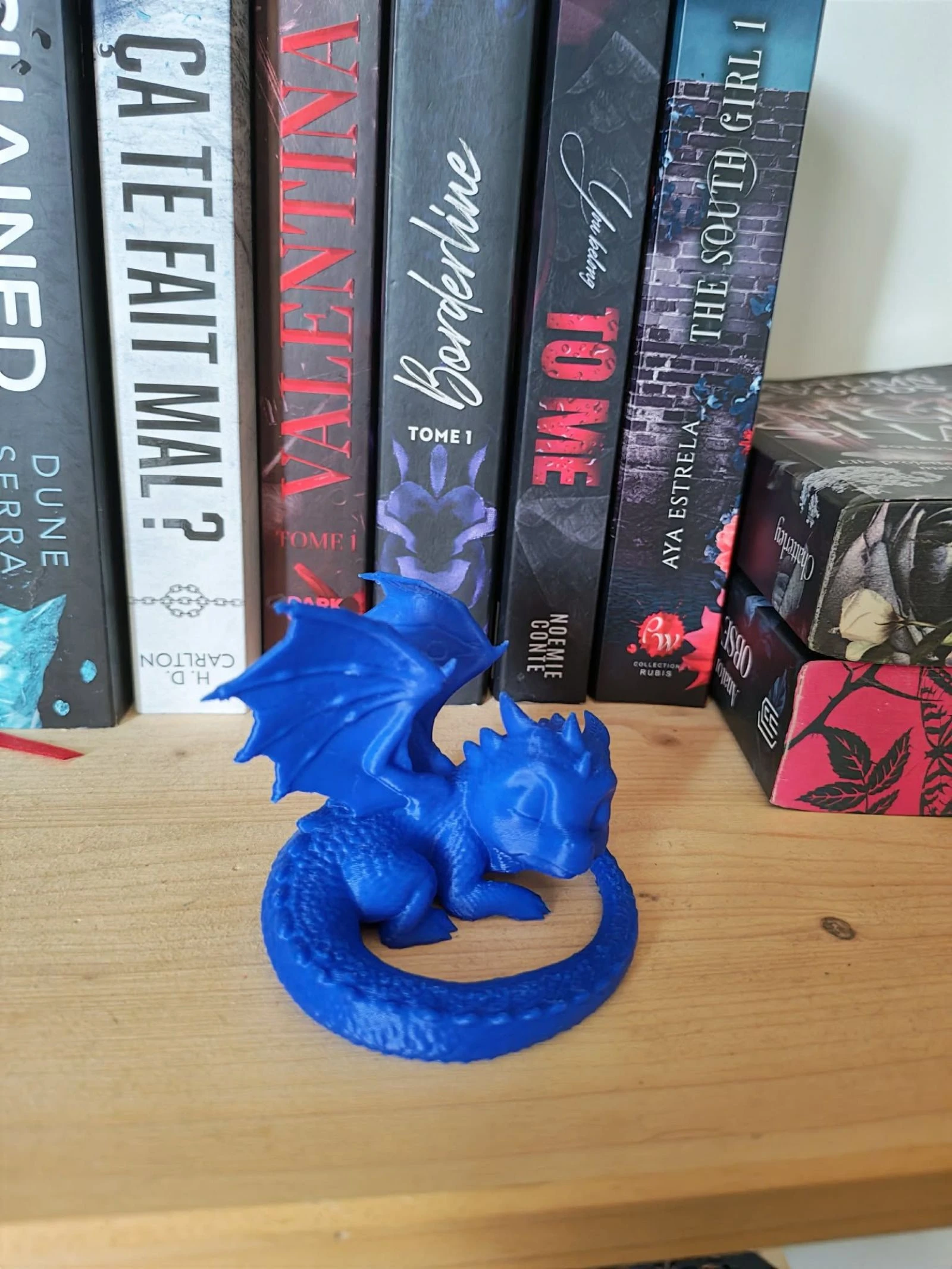 Sleeping Dragon – photo 3
